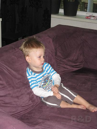 Imme 1 augustus 2008 (2).JPG